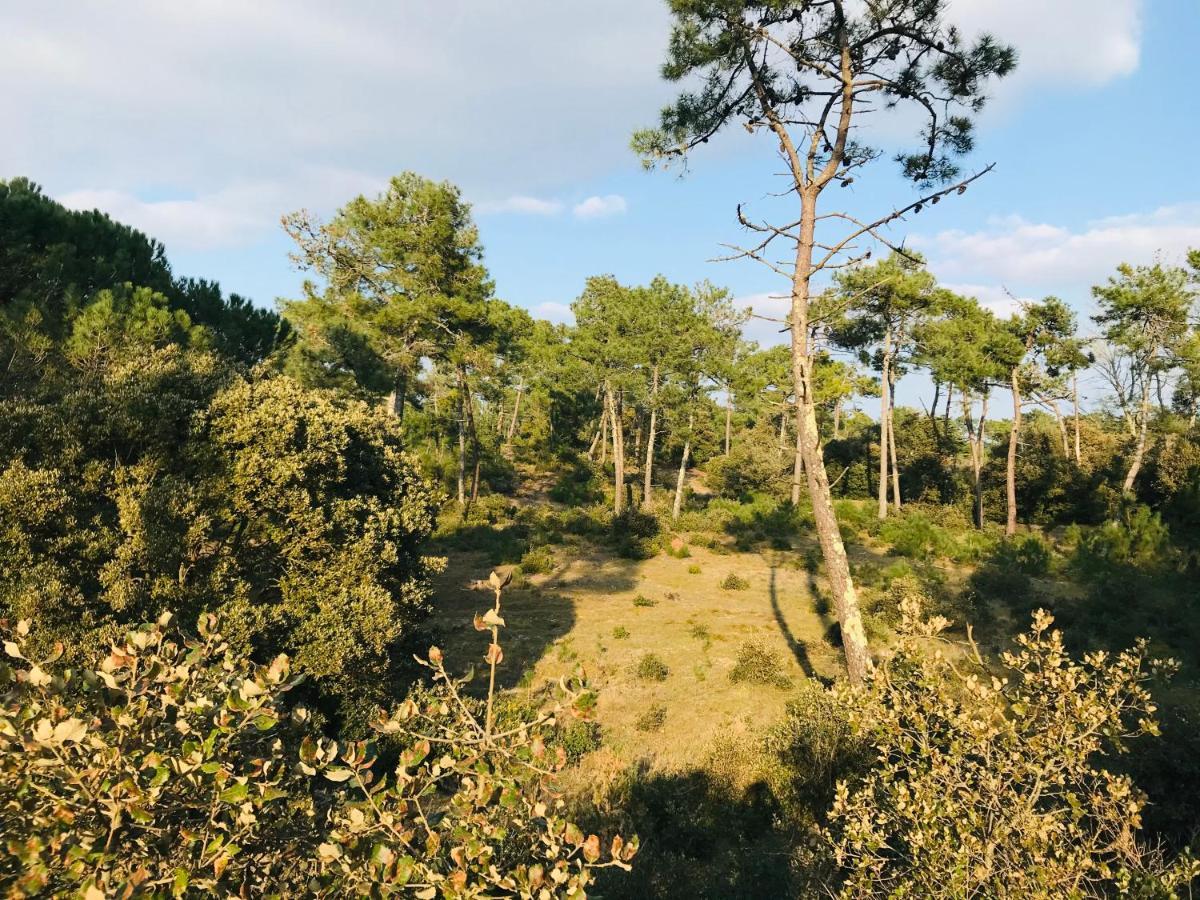 Maison Des Dunes, A 100M De La Mer Saint-Hilaire-de-Riez Buitenkant foto